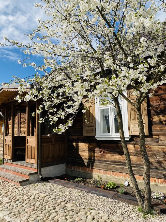 Загородные дома INNA BAJKA Nowoberezowo-6